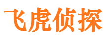 西吉市侦探调查公司